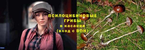 mix Лиски