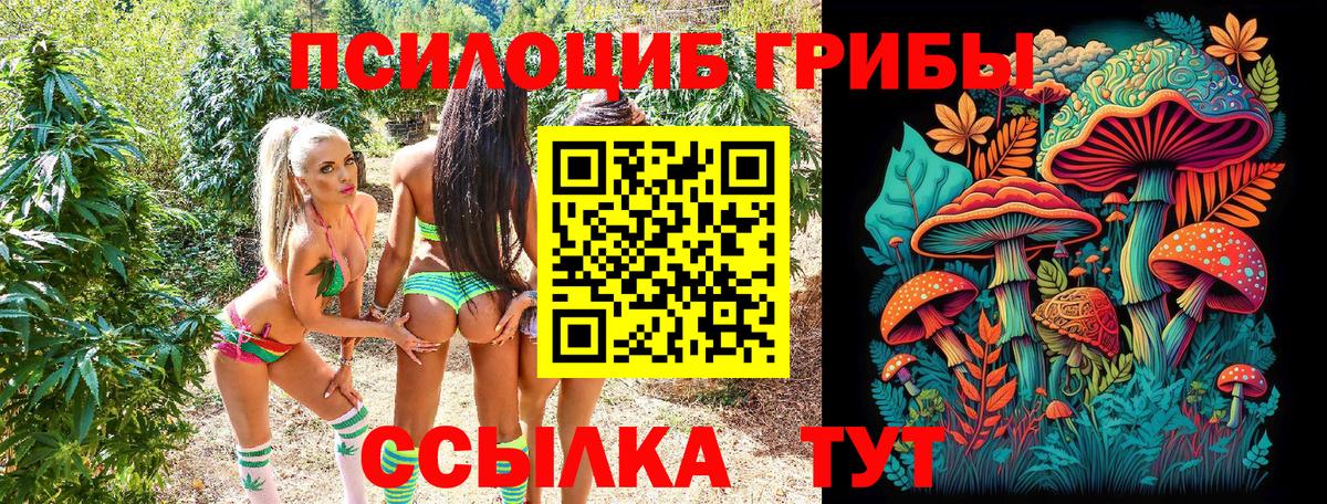 Псилоцибиновые грибы мицелий  где купить   Шатура  Вход с VPN 