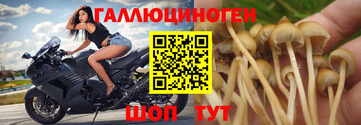 Псилоцибиновые грибы мухоморы Шатура